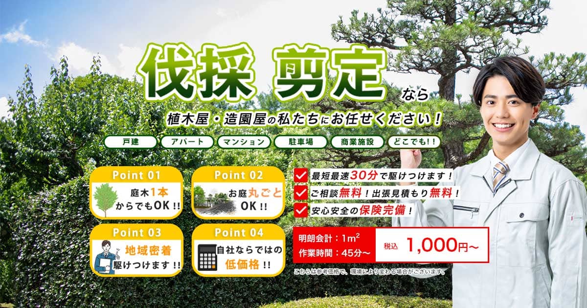 庭木・植木の伐採剪定 | 宇都宮市の伐採屋さん
